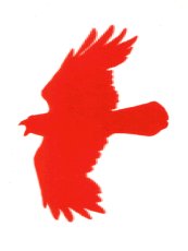 graphic of Red Bird